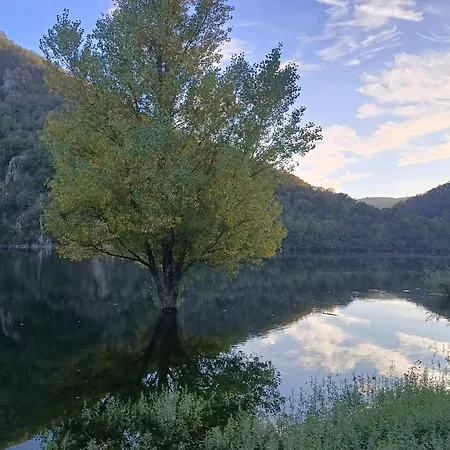 Ferienhaus Maison Aveyron Avec Piscine Bord De *
